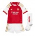 Billige Arsenal Kai Havertz #29 Børnetøj Hjemmebanetrøje til baby 2023-24 Kortærmet (+ korte bukser)